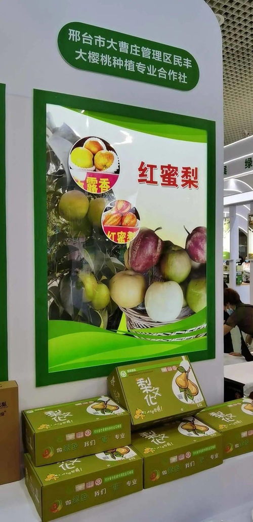 寧晉綠色農產品在廈門綠博會廣受歡迎，水產品零售表現搶眼