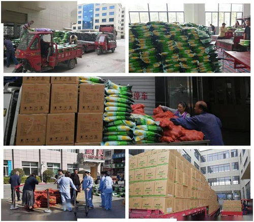 慶元9天高效派送253噸農產品，東西部消費扶貧任務圓滿完成