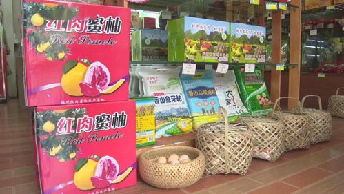 農村電商網紅助力農產品熱銷，促進農民增收致富